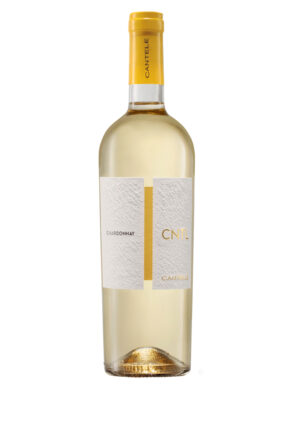 CHARDONNAY Salento IGP Cantele