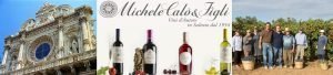 Read more about the article Winery of Salento – Michele Calò e Figli