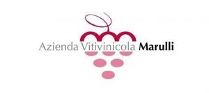 Read more about the article Visiting the Marulli Winery in Copertino